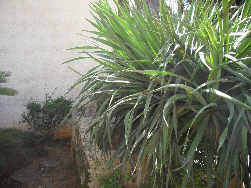 Casa Petros Apartment Marsala Exterior foto